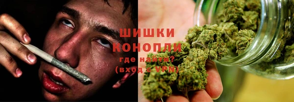 не бодяженный Бородино