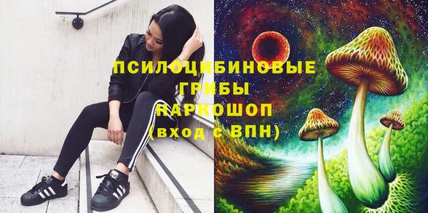 не бодяженный Бородино