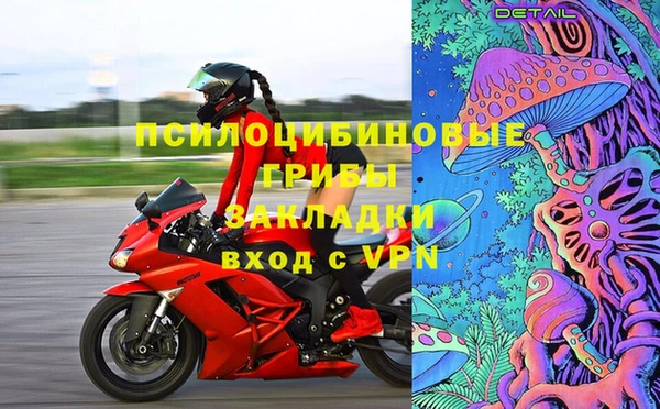 гидра Бугульма