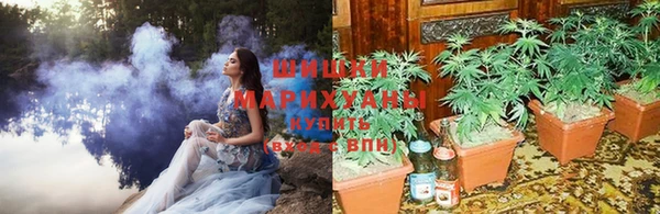 не бодяженный Бородино