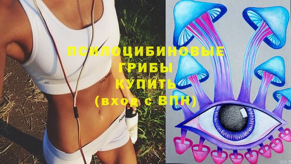 не бодяженный Бородино