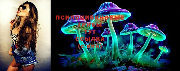 гидра Бугульма